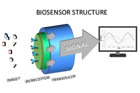 biosensor